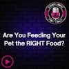 Are You Feeding Your Pet the RIGHT Food?