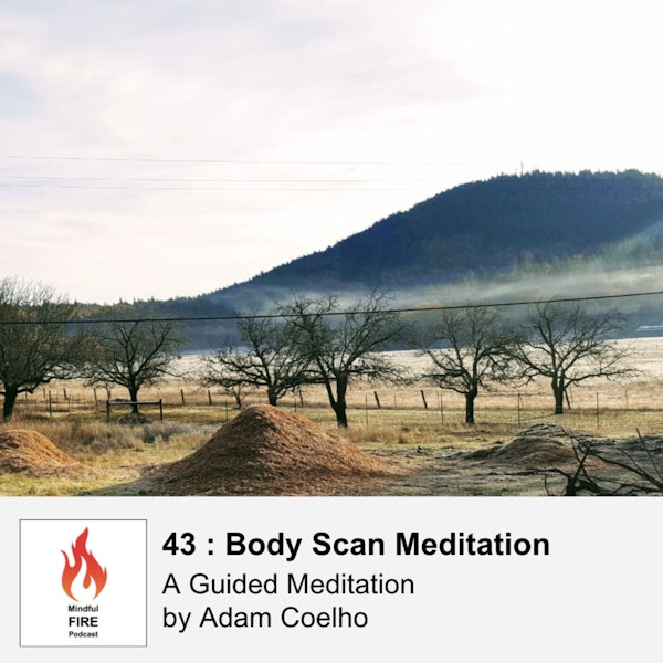 43 : Body Scan Meditation
