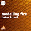119 - Different scales needed to model fires with Lukas Arnold