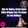 Tips for Being a Great Guest When Bringing Your Pet Home for the Holidays