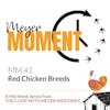 Meyer Moment: Red Chicken Breeds
