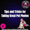 Tips and Tricks for Taking Great Pet Photos
