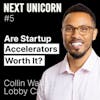 Are Startup Accelerators Worth It For Founders? | Collin Wallace, Lobby Capital | E5