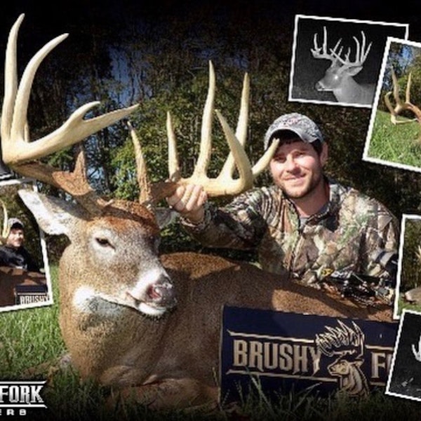 Big bucks at Brushy Fork Outfitters