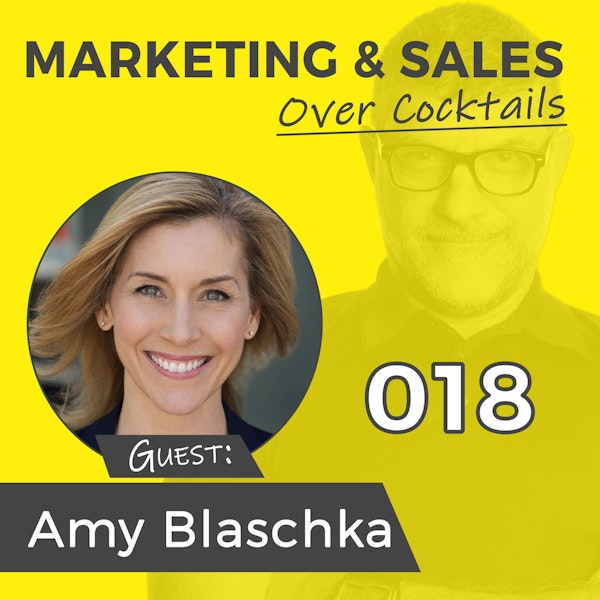 018: Do You Use Stories in Your Social Media? with Amy Blaschka