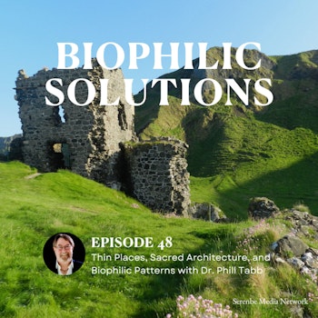 Thin Places, Sacred Architecture, and Biophilic Patterns with Dr. Phill Tabb