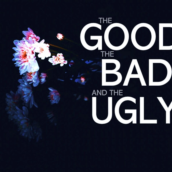 The Good, The Bad, and The Ugly