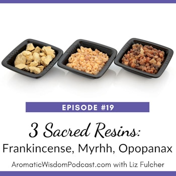 AWP 019: Three Sacred Resins: Frankincense, Myrrh and Opopanax