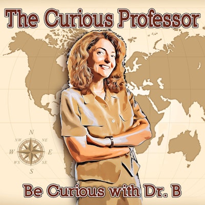The Curious Professor