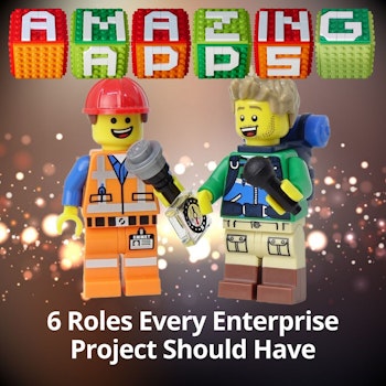 6 Roles Every Enterprise Business Applications Project Should Have
