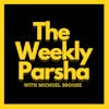 Parshas Shemini: Looking for a Sign?