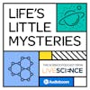 Bonus: Introducing Life's Little Mysteries