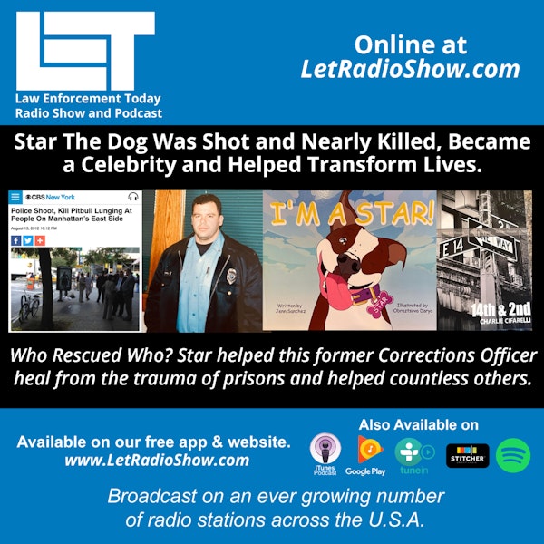 Shot and Nearly Killed, Star The Dog Helped Transform Lives.