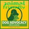 19. A Voice for Dogs in Ireland