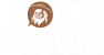 Voice of Rabbis