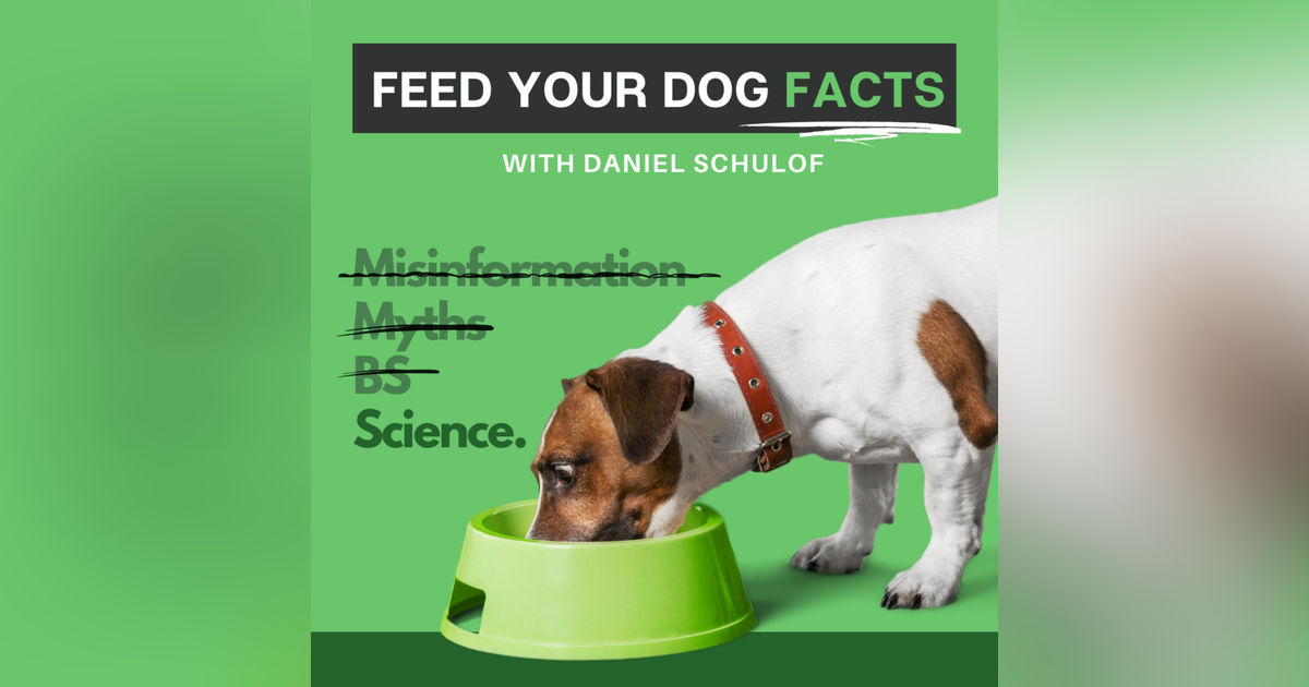 Feed Your Dog Facts
