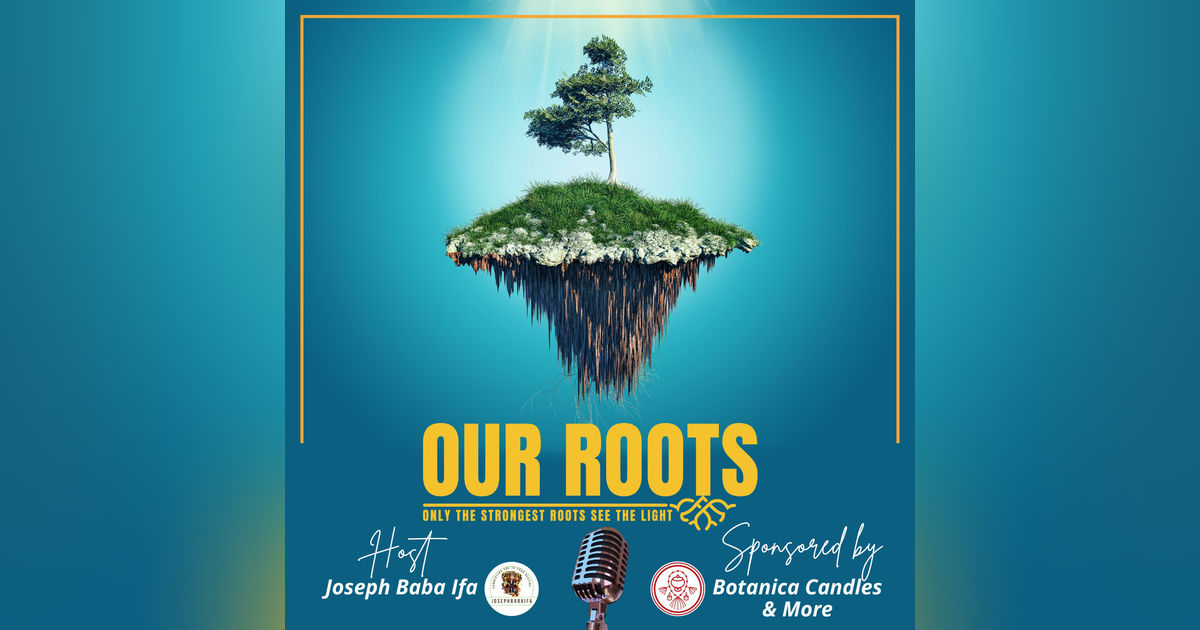 Our Roots: Only the Strongest Roots See the Light