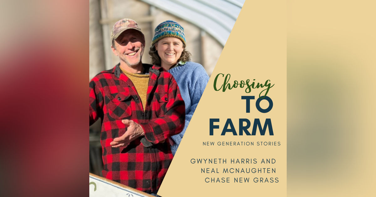 Gwyneth Harris and Neal McNaughten Chase New Grass