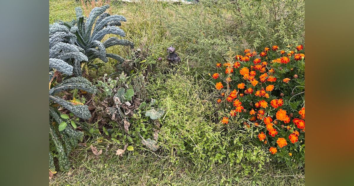 93. The Reluctant Gardener - Part 2 93. The Reluctant Gardener - Part 2