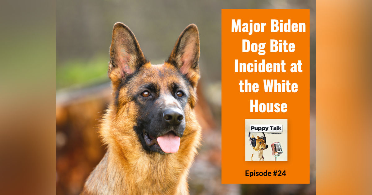 Major Biden Dog Bite Incident at the White House Major Biden Dog Bite Incident at the White House