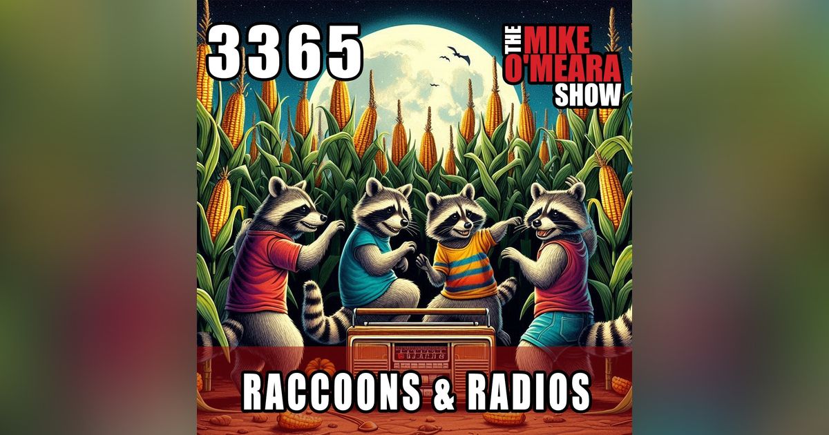 #3365: Raccoons & Radios