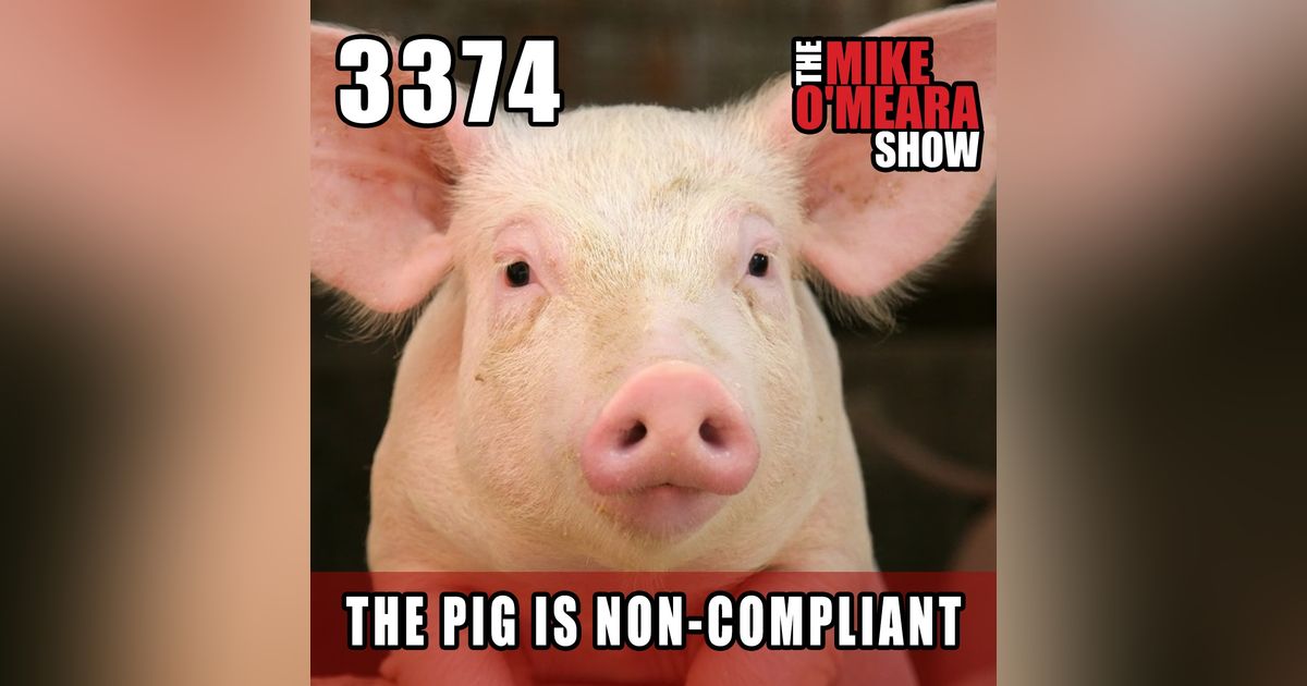 #3374:  The Pig Is Non-Compliant