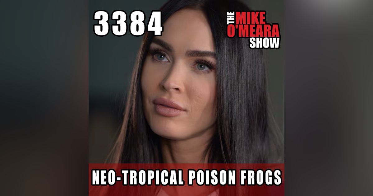 #3384:  Neo-Tropical Poison Frogs