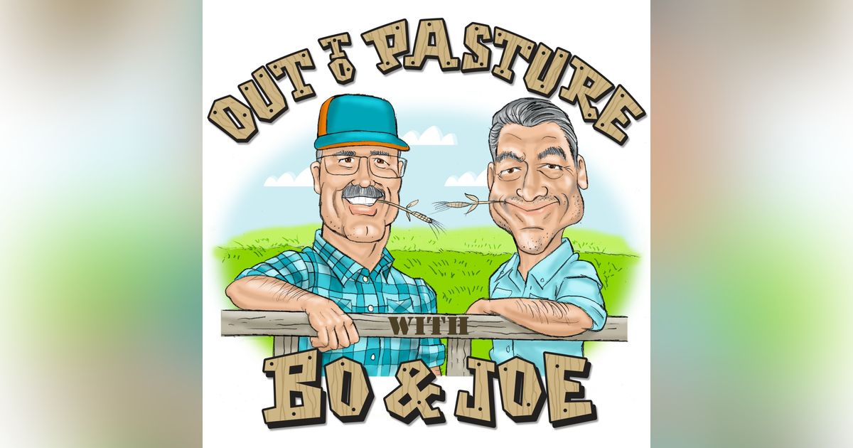 45. Football Friday: Dolphins Hit the Bye Week Rolling | Bo & Joe Break Down Buffalo and Washington Wins