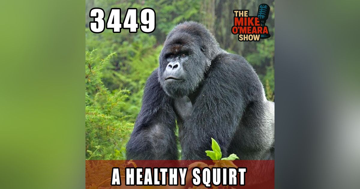 #3449: A Healthy Squirt