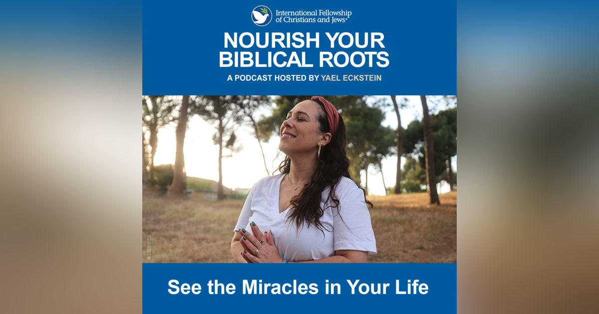 See the Miracles in Your Life