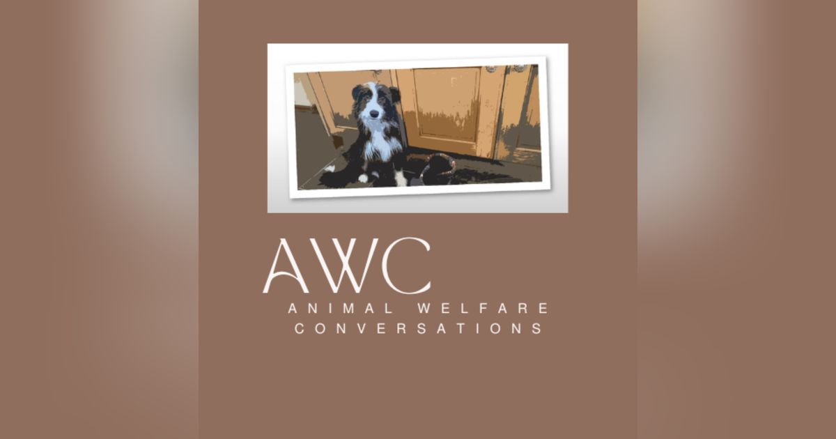 Animal Welfare Conversations