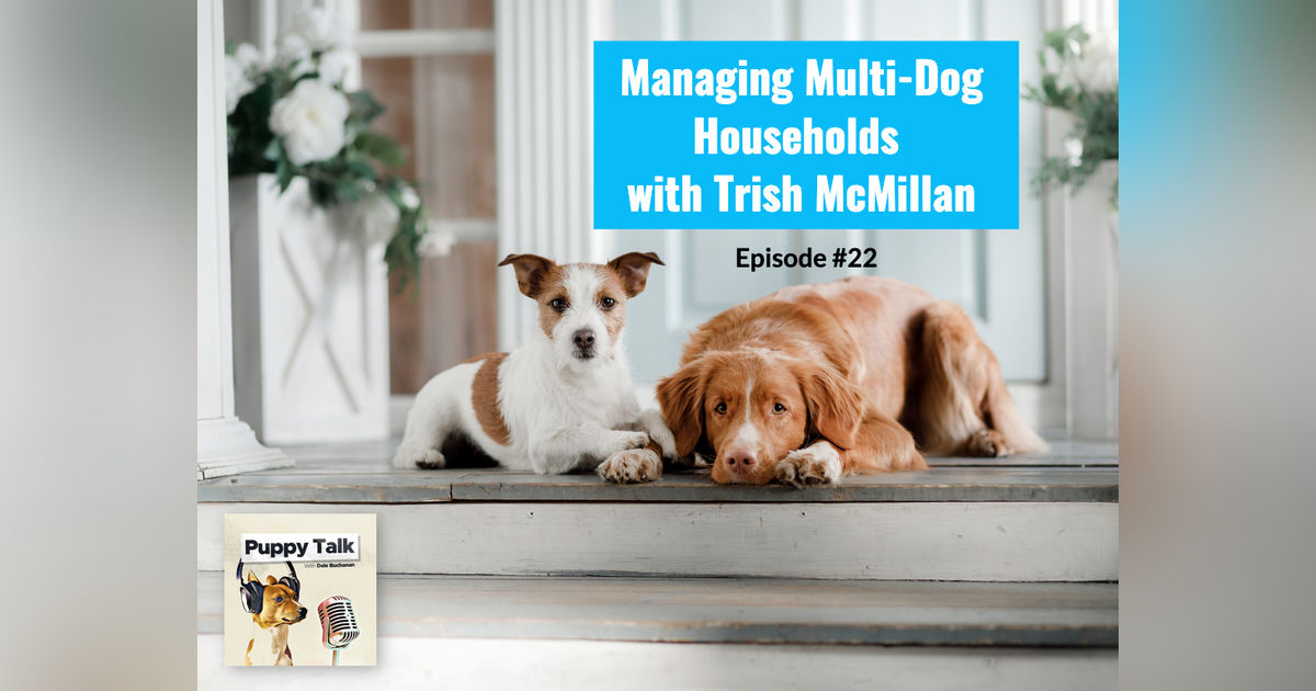 Managing Multi-Dog Households with Trish McMillan