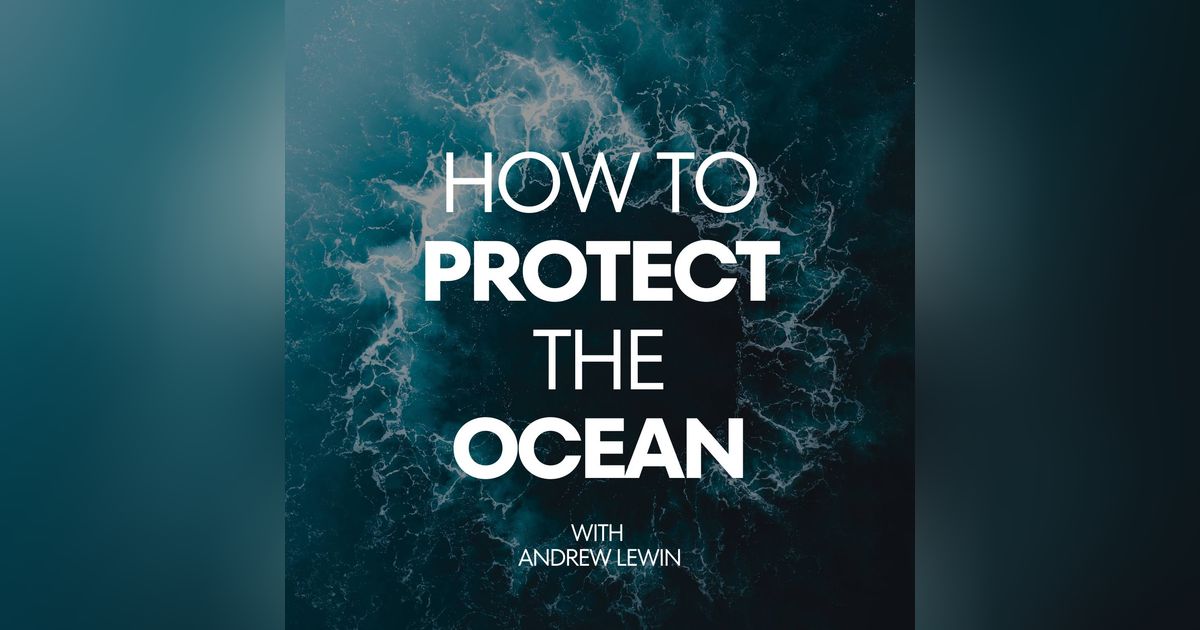 Will Small Island States retain their rights as nations if they have to move due to sea level rise?