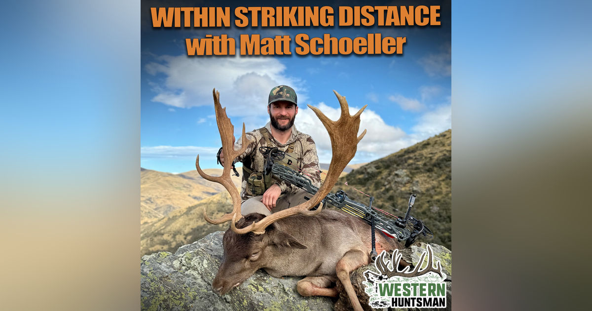 Within Striking Distance with Matt Schoeller