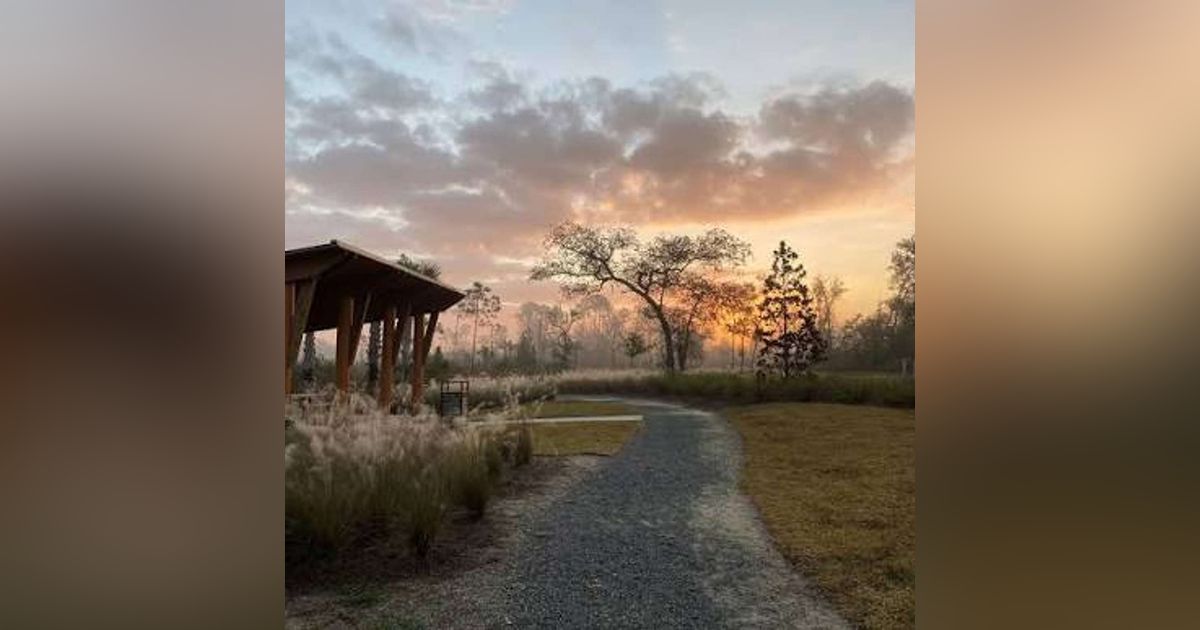 Into the Wild: Exploring Lynn Haven's Bayou Park and Preserve