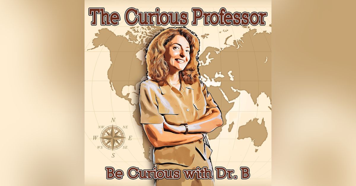 The Curious Professor