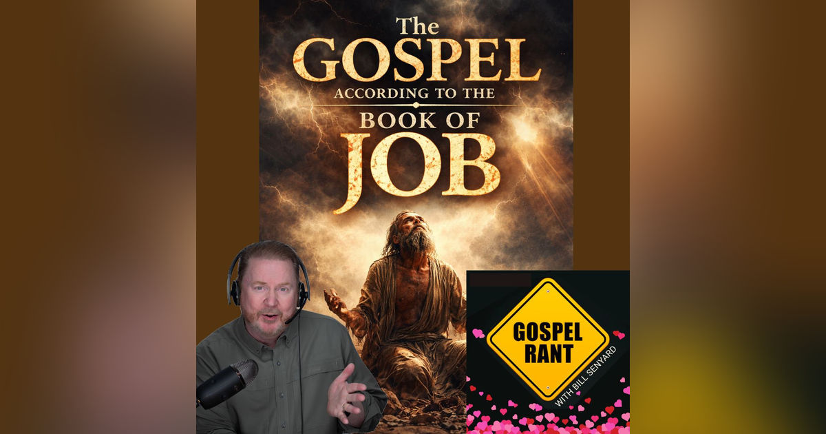 The Gospel According to Job 7