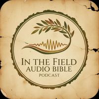 In the Field Audio Bible