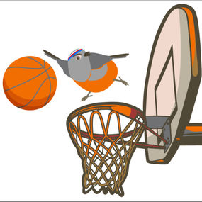 Robin Baskets Profile Photo