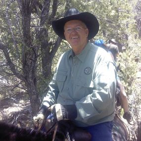 Mike Reese Profile Photo