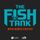 The Fish Tank: Miami Dolphins Tales From The Deep