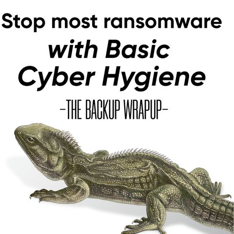 Stop 90% of Ransomware Attacks with Basic Cyber Hygiene