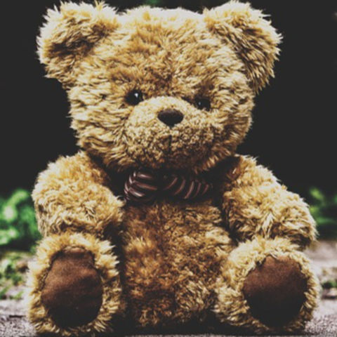 The Teddy Bear Coder Part 1: Jack and Teddy