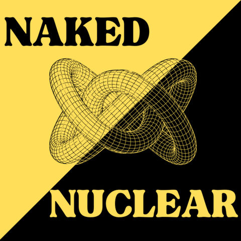 The 41-Hour Pour: When a Nuclear Plant Begins to Exist