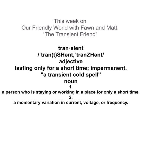 The Transient Friend