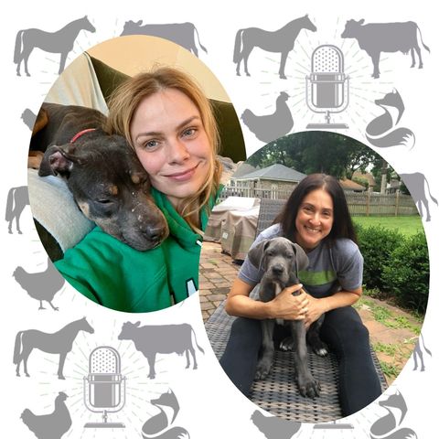 Friendship, Activism, and a New Year for Animals with Rev Philly's Stephanie & Tiffany