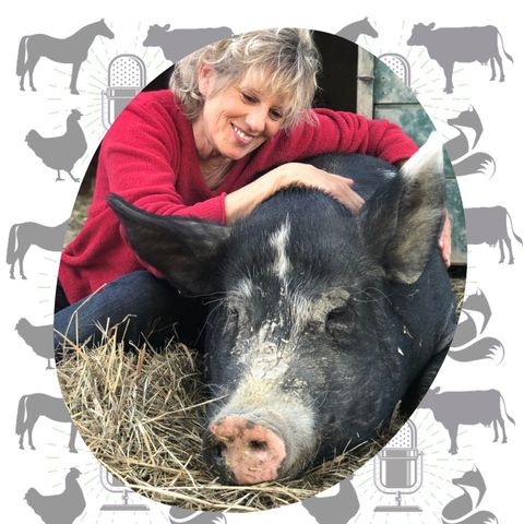 Kathy Stevens: The True Lives of Turkeys and Leading with Love