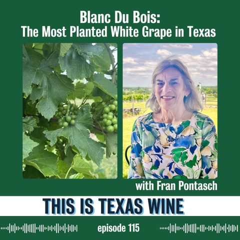 Blanc Du Bois: The Most Planted White Grape Variety in Texas with Fran Pontasch