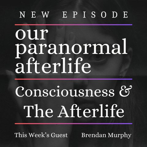 Consciousness & The Afterlife