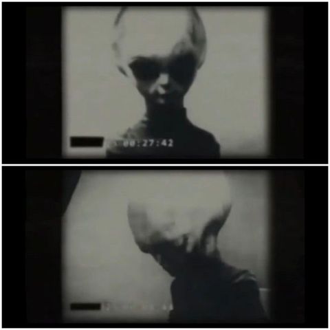 Grey Aliens and Artificial Intelligence: The Battle Between Natural and Synthetic Beings for the Human Soul